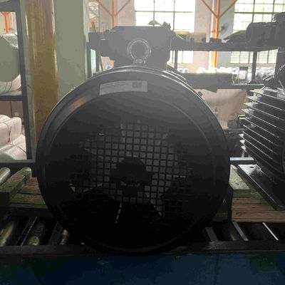Adjustable Speed High Power Electric Motor With IP65 Water And Dust Proof
