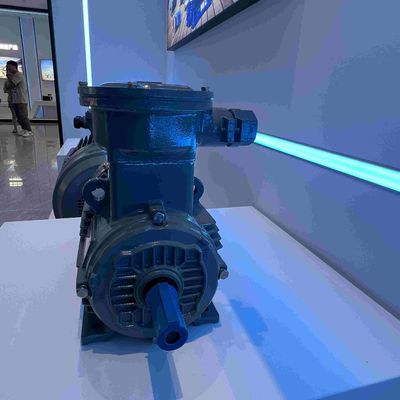 Three Phase Medium Voltage Induction Motor High Voltage Explosion Proof
